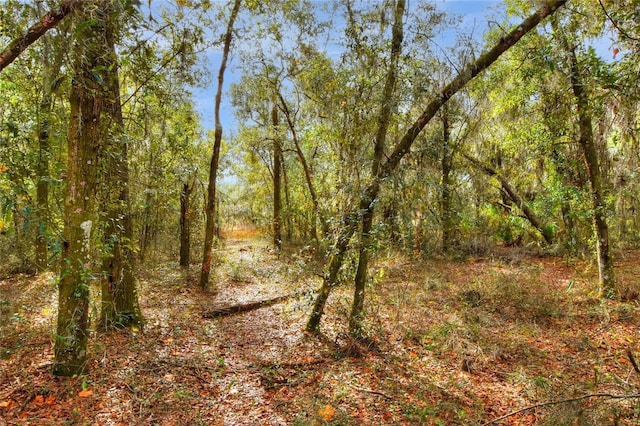 0 Keysville Rd, Lithia, FL 33547