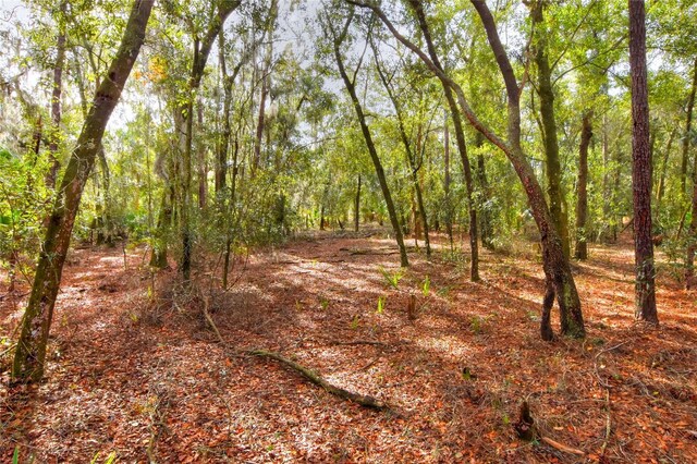 0 Keysville Rd, Lithia, FL 33547