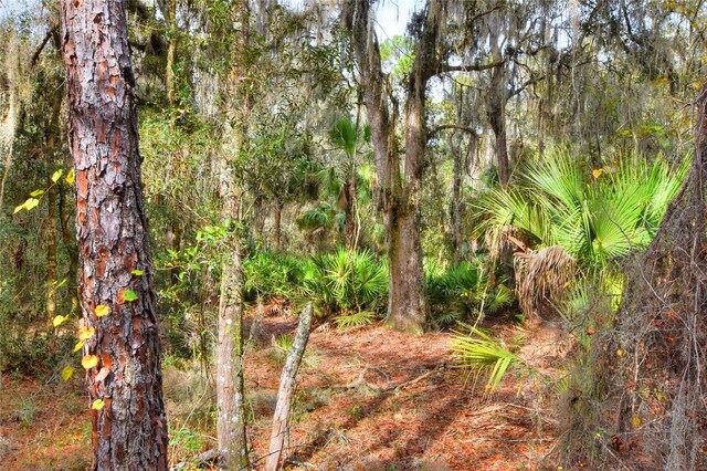 0 Keysville Rd, Lithia, FL 33547