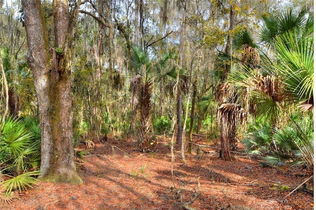 0 Keysville Rd, Lithia, FL 33547