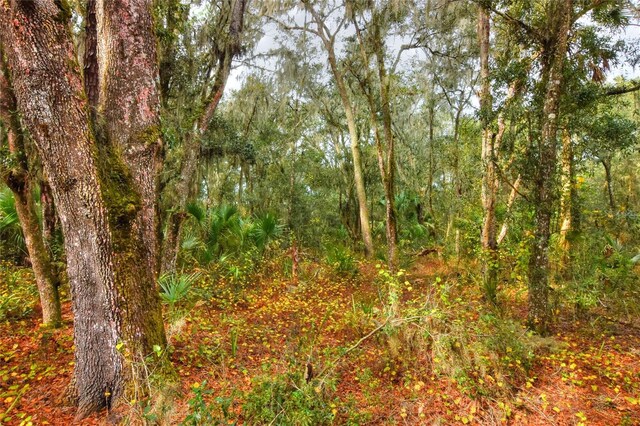 0 Keysville Rd, Lithia, FL 33547