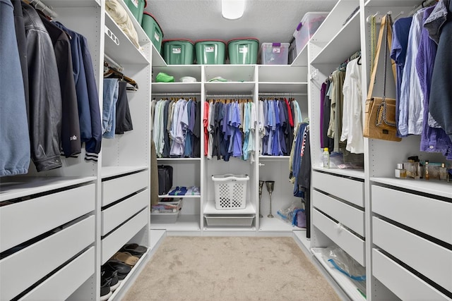 2756 Reserve Ct, Dunedin, FL 34698 - spacious closet with carpet floors
