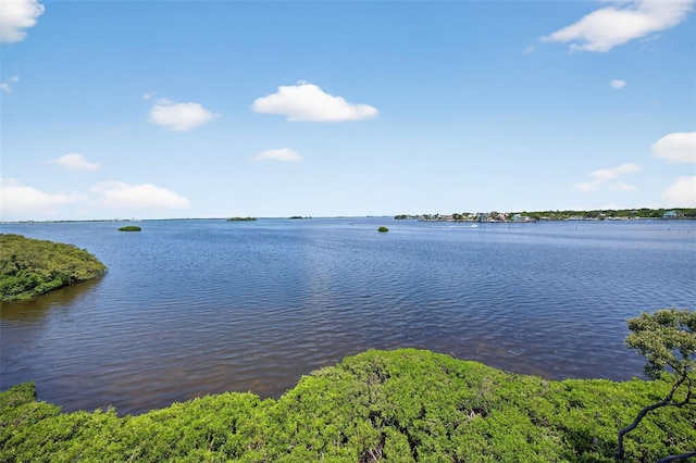 2756 Reserve Ct, Dunedin, FL 34698 - water view