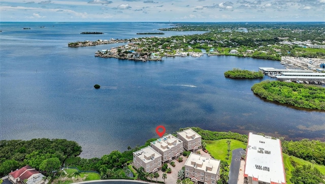 2756 Reserve Ct, Dunedin, FL 34698 - aerial view of a large body of water