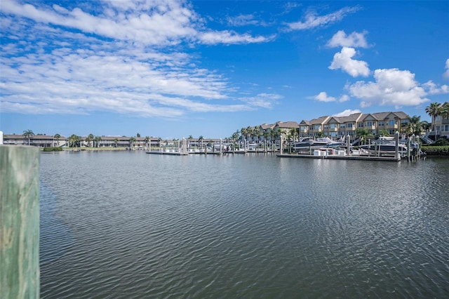 8719 Cove Ct Unit 10, Tampa, FL 33615 - photo 1