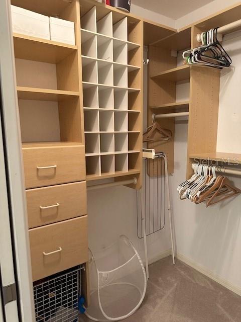 9810 Indian Key Trl Unit 85, Seminole, FL 33776 - walk in closet featuring carpet floors