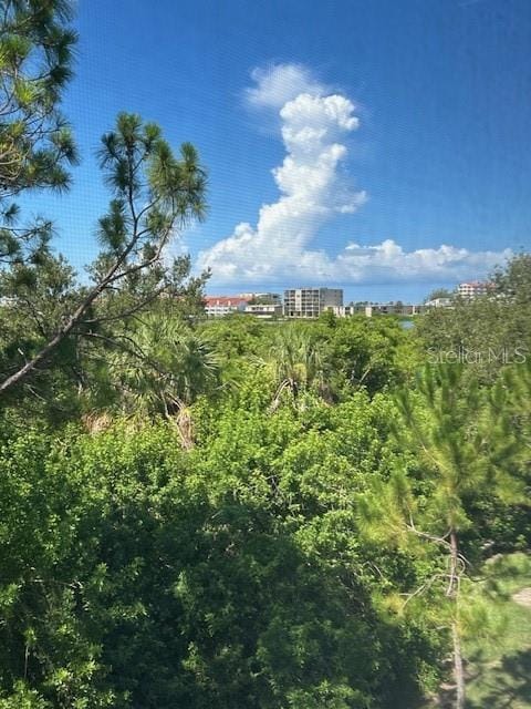 9810 Indian Key Trl Unit 85, Seminole, FL 33776 - view of undeveloped land