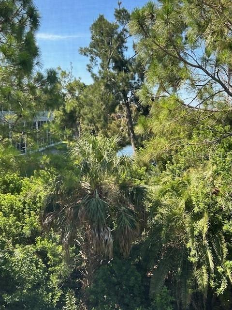 9810 Indian Key Trl Unit 85, Seminole, FL 33776 - view of local wilderness
