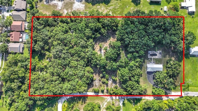 12808 Arcadia Ln, Riverview, FL 33579 - photo 2