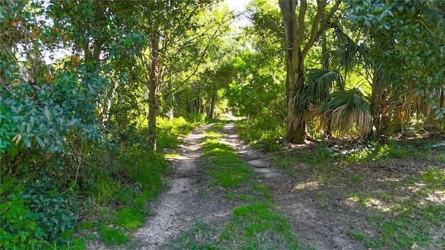 12808 Arcadia Ln, Riverview, FL 33579 - photo 4