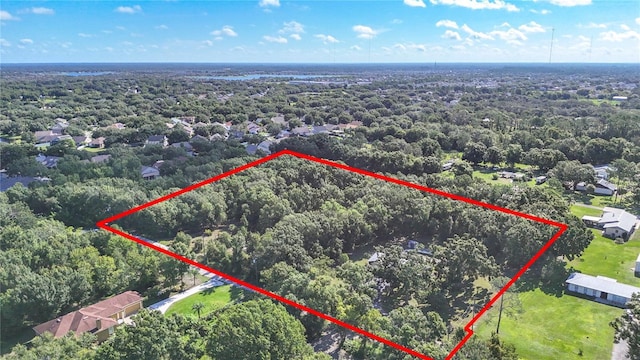 12808 Arcadia Ln, Riverview, FL 33579 - photo 7