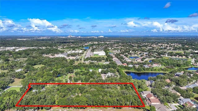 12808 Arcadia Ln, Riverview, FL 33579 - photo 31