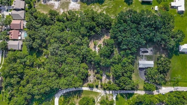 12808 Arcadia Ln, Riverview, FL 33579 - photo 33