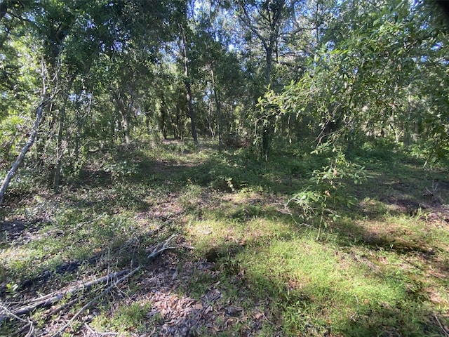 12808 Arcadia Ln, Riverview, FL 33579 - photo 38