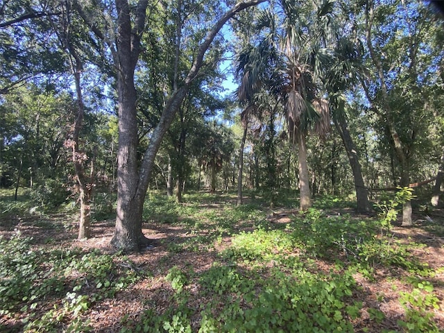 12808 Arcadia Ln, Riverview, FL 33579 - photo 39