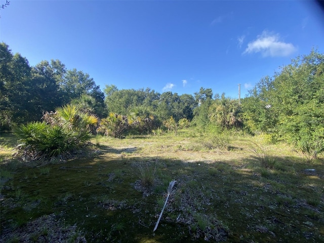 12808 Arcadia Ln, Riverview, FL 33579 - photo 40