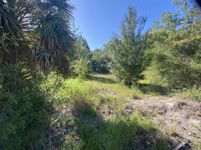 12808 Arcadia Ln, Riverview, FL 33579 - photo 41