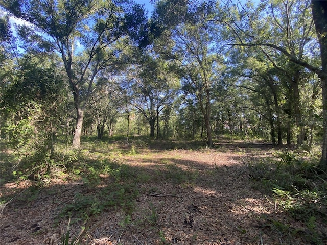 12808 Arcadia Ln, Riverview, FL 33579 - photo 42