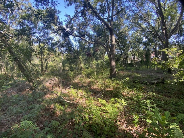 12808 Arcadia Ln, Riverview, FL 33579 - photo 43