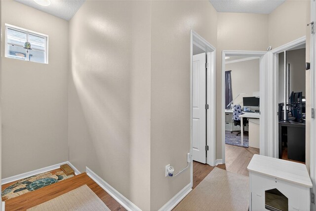 10639 Marsha Dr, New Port Richey, FL 34655 - photo 22