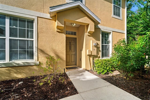 6723 Eagle Feather Dr, Riverview, FL 33578 - photo 5