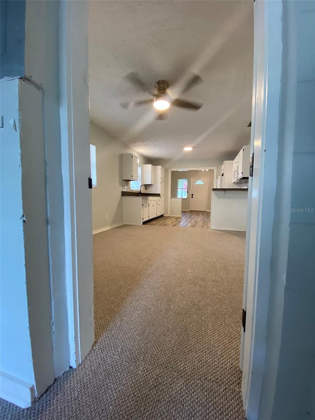 787 12th Ave N, Saint Petersburg, FL 33701 - photo 11