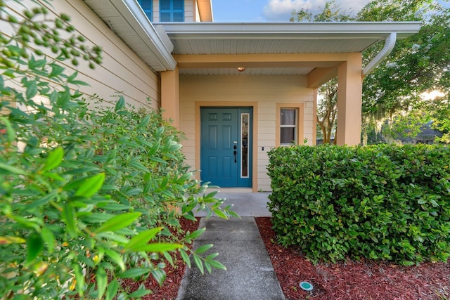 20318 Oak Key Ct, Tampa, FL 33647 - photo 7
