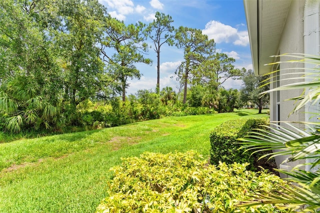 2468 Magnolia Cir, North Port, FL 34289 - view of green lawn