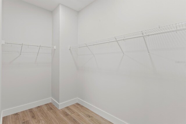 11605 1st St E Unit 3, Treasure Island, FL 33706 - spacious closet with light wood-style flooring