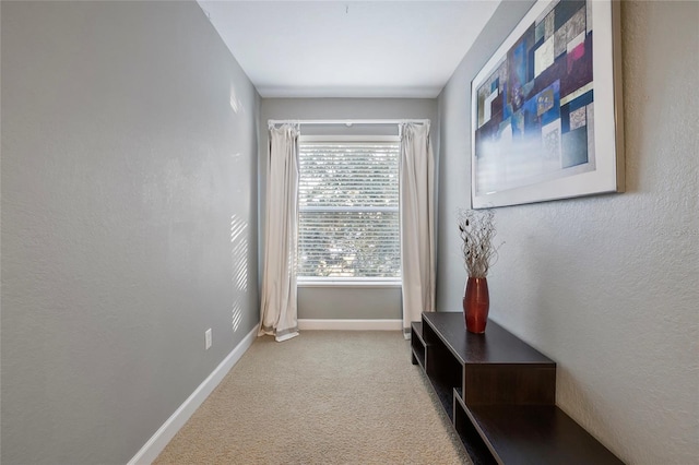 1872 Eloise Cove Dr, Winter Haven, FL 33884 - hall with carpet floors and baseboards