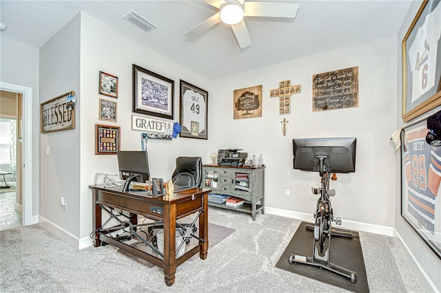 10577 Calluna Dr, Odessa, FL 33556 - photo 24