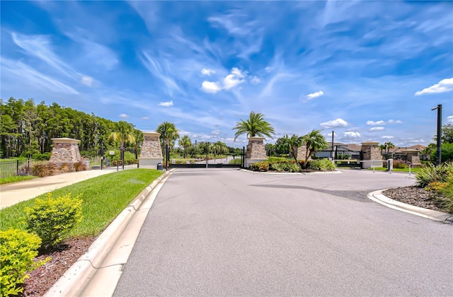 10577 Calluna Dr, Odessa, FL 33556 - photo 39