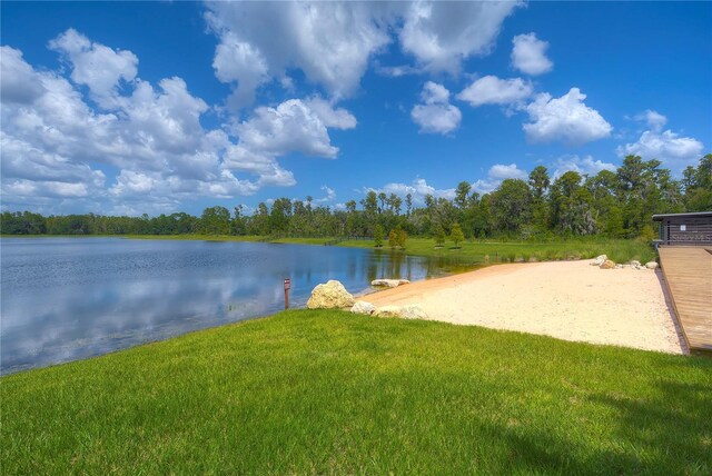 10577 Calluna Dr, Odessa, FL 33556 - photo 46