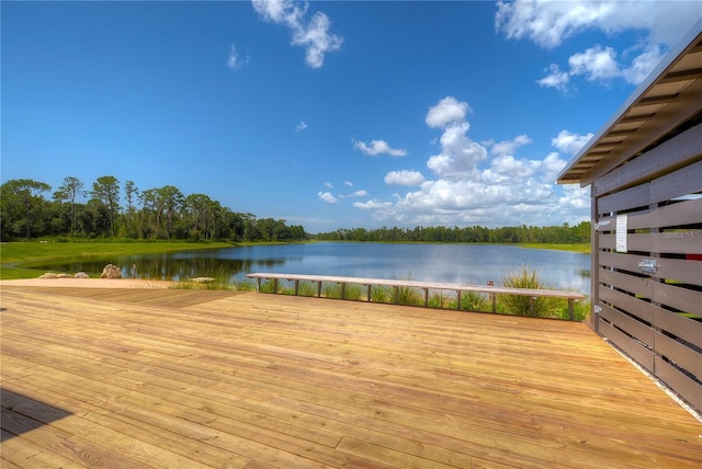 10577 Calluna Dr, Odessa, FL 33556 - photo 51