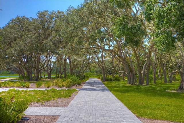 10577 Calluna Dr, Odessa, FL 33556 - photo 52