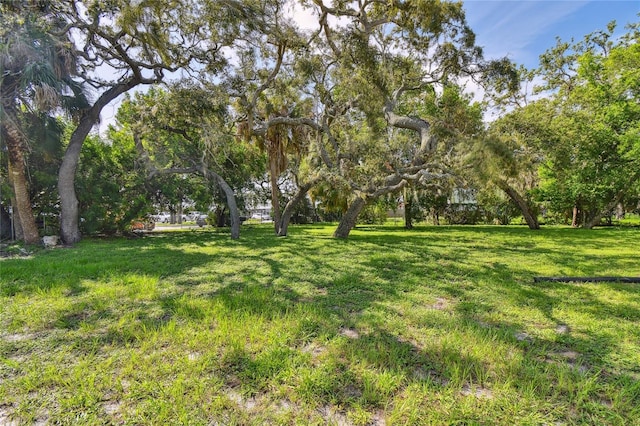 3415 Tricon Ln Unit 13, Holiday, FL 34691 - view of grassy yard
