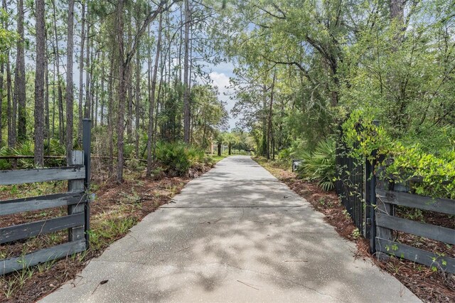 3685 N Palomino Ter, Beverly Hills, FL 34465 - view of road