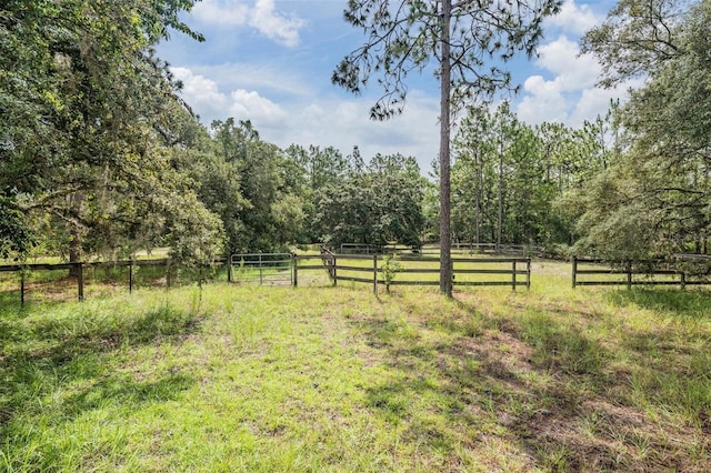 3685 N Palomino Ter, Beverly Hills, FL 34465 - view of yard with a view of rural / pastoral area and a wooded view