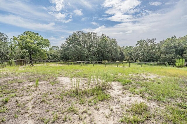 3685 N Palomino Ter, Beverly Hills, FL 34465 - view of yard with a rural view and a forest view