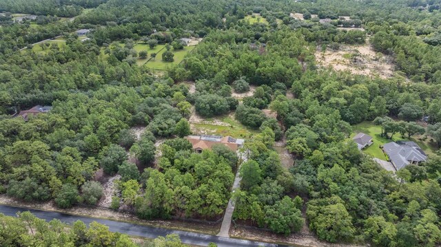 3685 N Palomino Ter, Beverly Hills, FL 34465 - view of property location featuring a forest