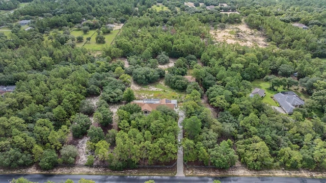 3685 N Palomino Ter, Beverly Hills, FL 34465 - drone / aerial view of a forest