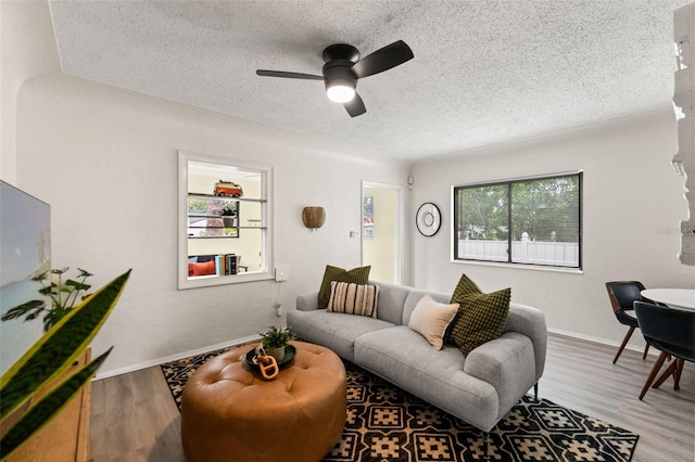 830 47th Ave N, Saint Petersburg, FL 33703 - photo 7