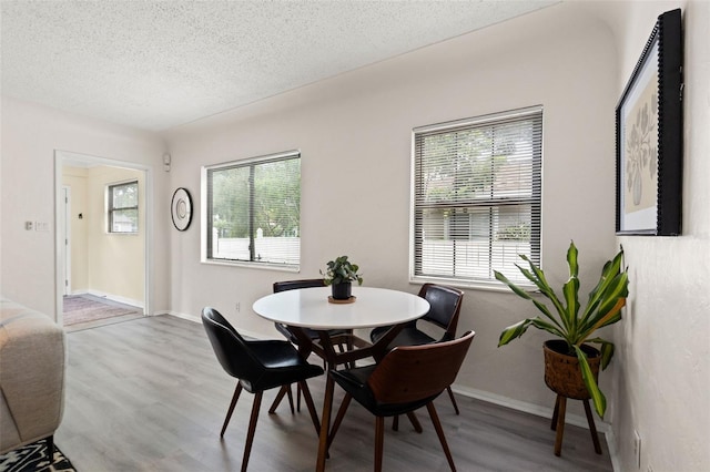 830 47th Ave N, Saint Petersburg, FL 33703 - photo 12