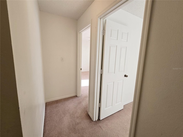 128 Sandhill Crane Run, Orlando, FL 32828 - photo 11