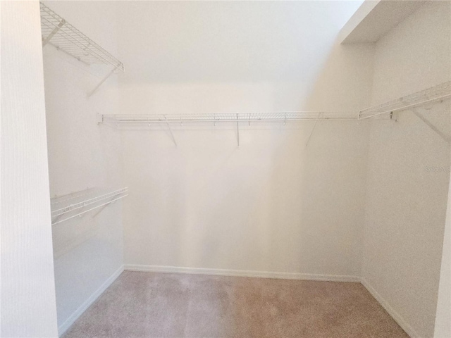 128 Sandhill Crane Run, Orlando, FL 32828 - photo 23
