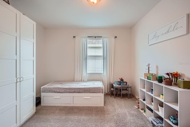 6307 Shadowlake Dr, Apollo Beach, FL 33572 - bedroom featuring light colored carpet
