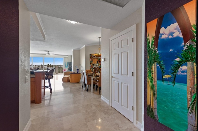 1860 N Fort Harrison Ave Unit 402, Clearwater, FL 33755 - photo 7