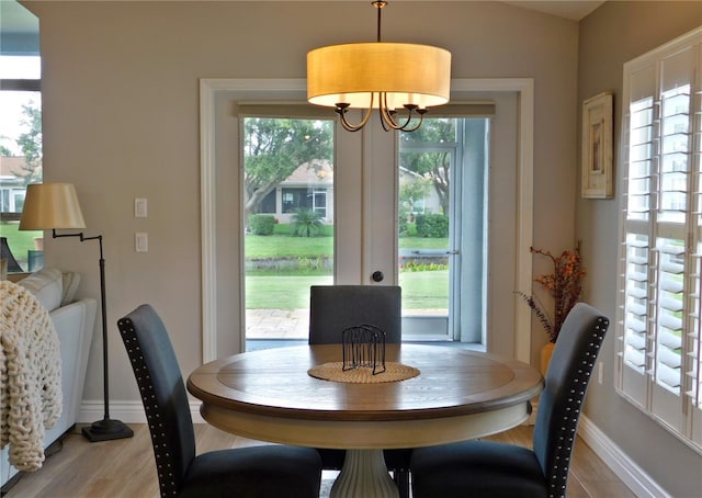 11802 Aintree Ct, Trinity, FL 34655 - dining room featuring healthy amount of natural light, a chandelier, and light wood-type flooring