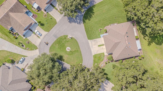 6535 Brentwood Dr, Zephyrhills, FL 33542 - photo 50