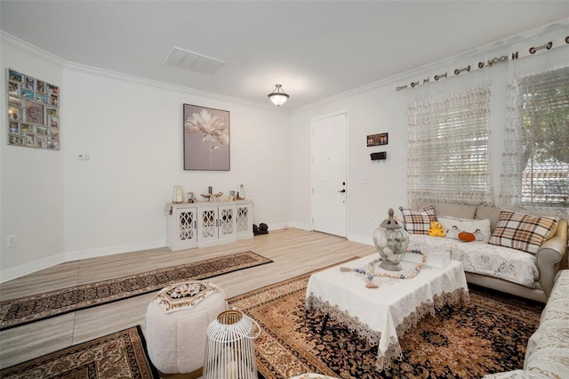 11132 Running Pine Dr, Riverview, FL 33569 - living area featuring ornamental molding and baseboards